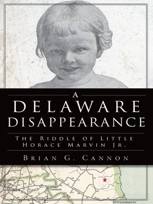 cover image of A Delaware Disappearance